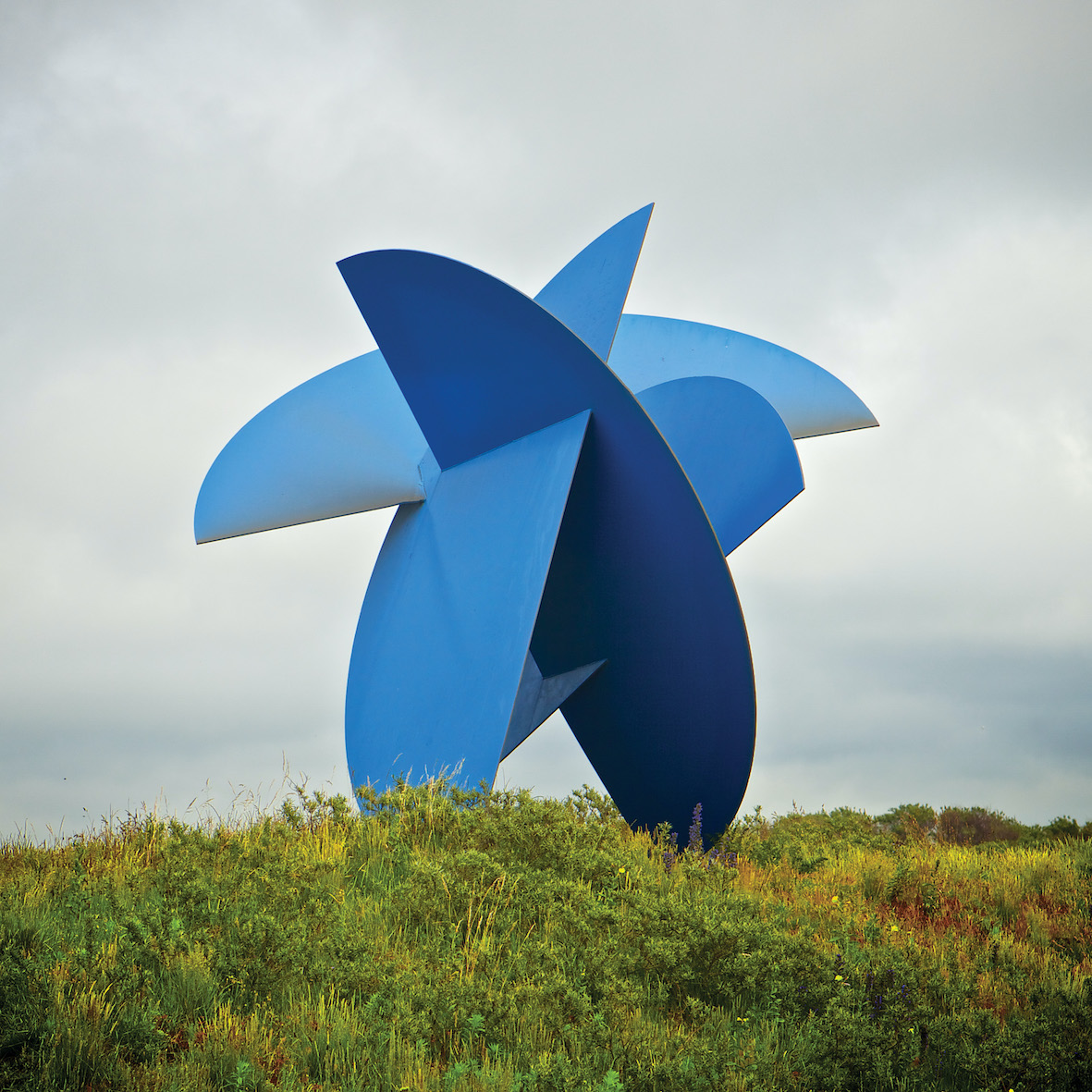 Rondleiding door beeldenpark Een Zee van Staal